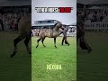 POV: You’re Watching a Horse With Insane Talent 😱🐎 ( Viral Horse Edit ☠️ )