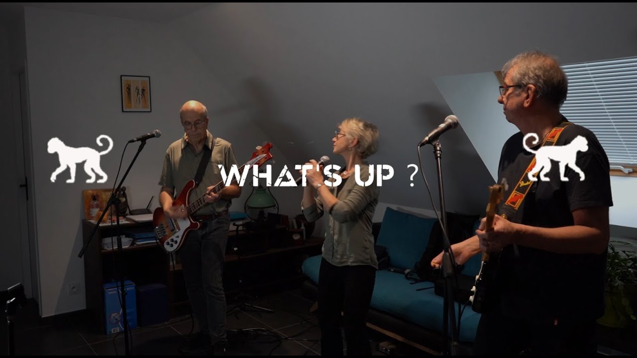 The Monkeys What's Up 2025