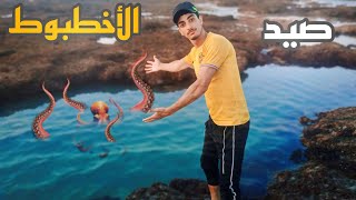 I decided to go on an octopus fishing trip