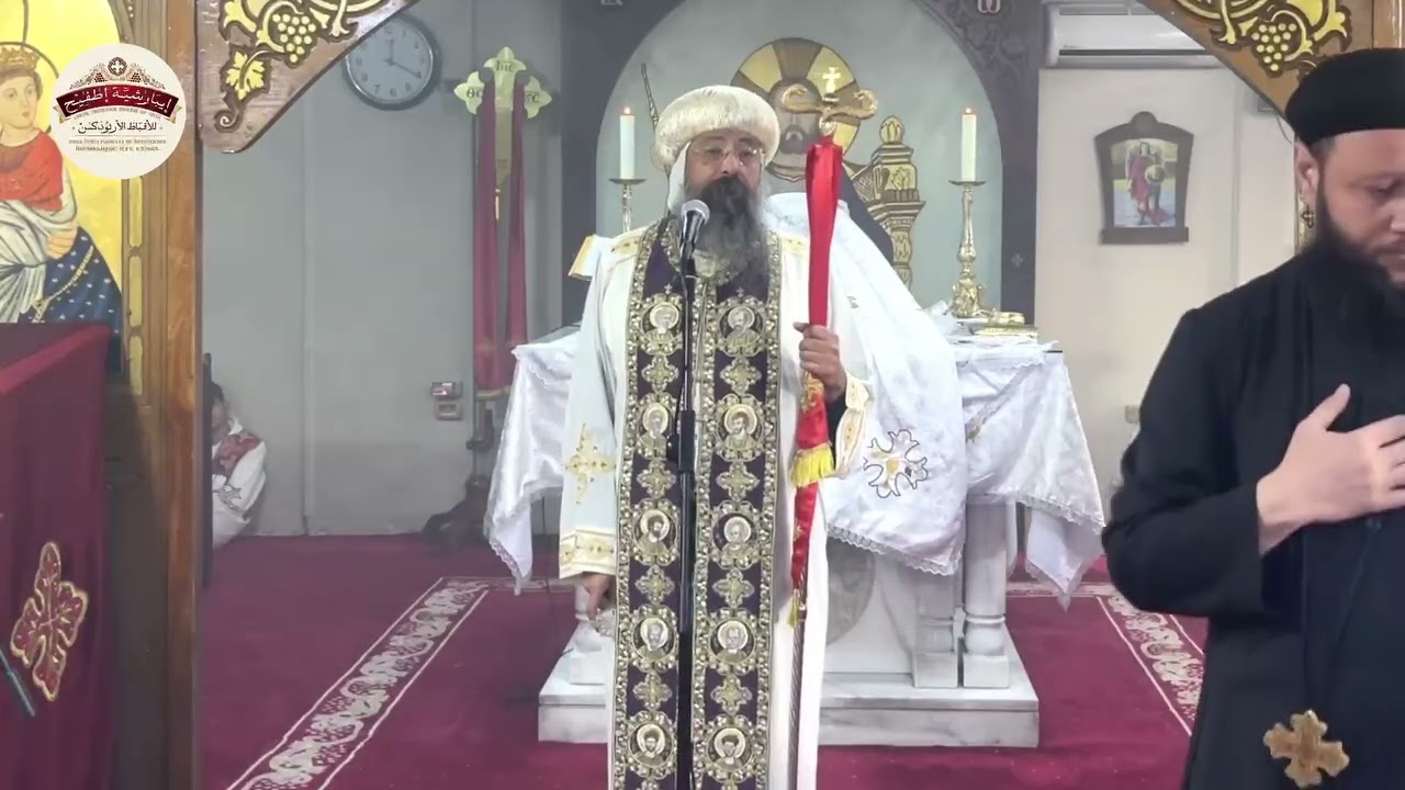 علشان تقاوم اي خطيه انت محتاج نعمه