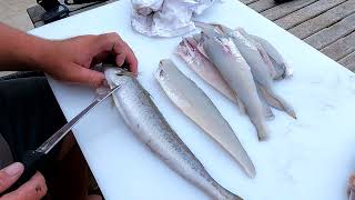 The easiest way to fillet & bone King George Whiting screenshot 5