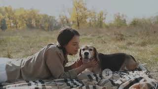 Love At First Bark A Shy Cat Falls For The Clumsiest Dog