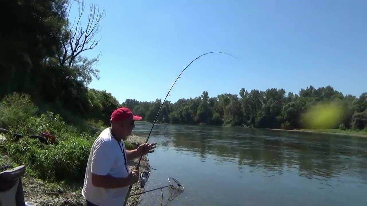 LJETNI RIBOLOV FEEDEROM NA SAVI 2020. - Ninoslav Žagar