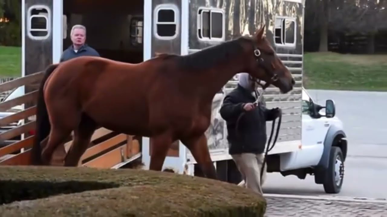 // TOWARDS THE SUN// Beholder For Her 14th Birthday