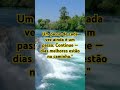 #leidaatração #músicarelaxante #relaxar #frasemotivacao #frases #motivar #motivacional #amor