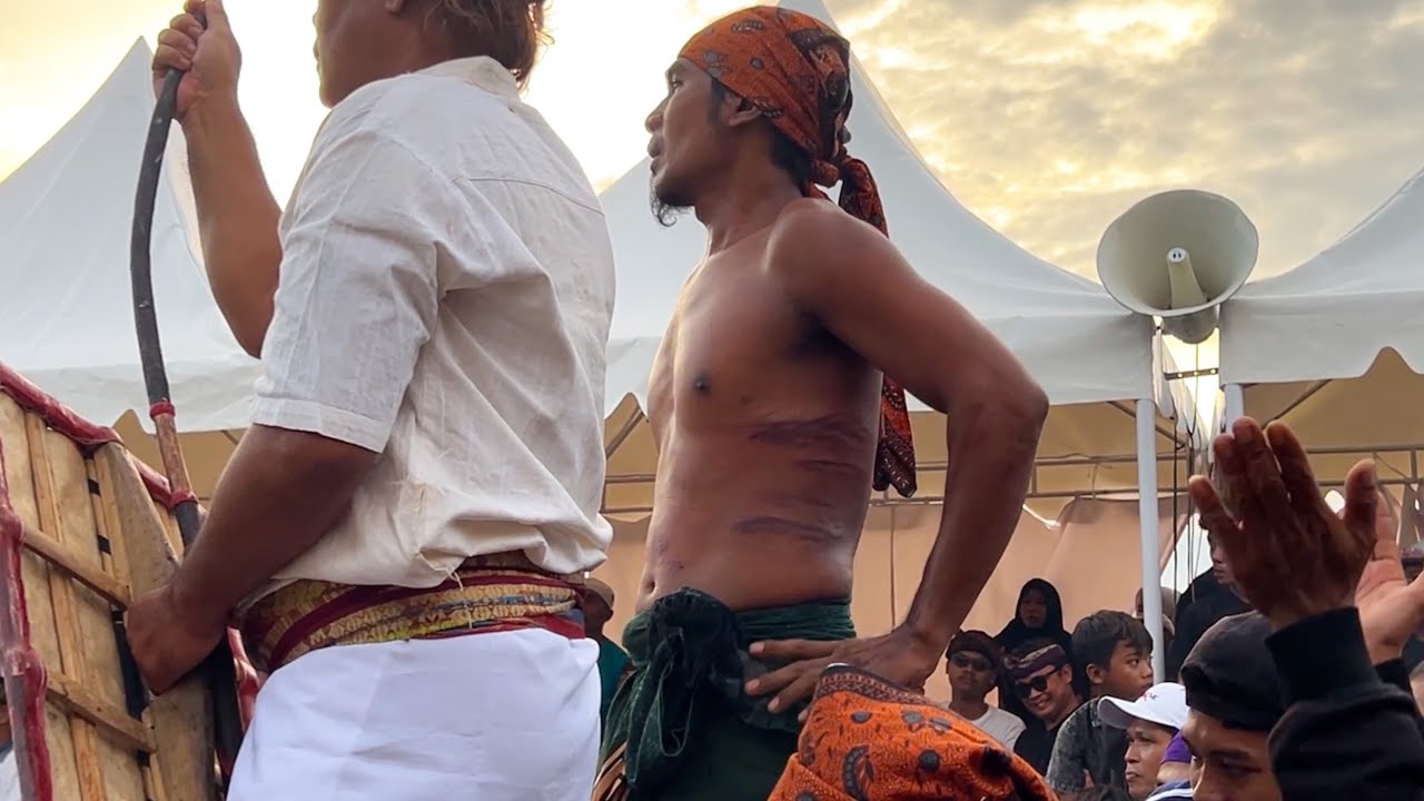 OMBAK TENANG VS TUYUL MESIR PERESEAN TAMAN LOANG BALOK