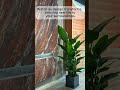 Elevate your projects with SoftStoneFlex!Durable, stylish, and sustainable materials for any build