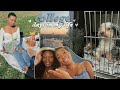 college days in my life #2 (picnics, furry friends, movie night & more) | Georgia State University