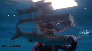 PESCA A LA ESPERA, BICUDAS