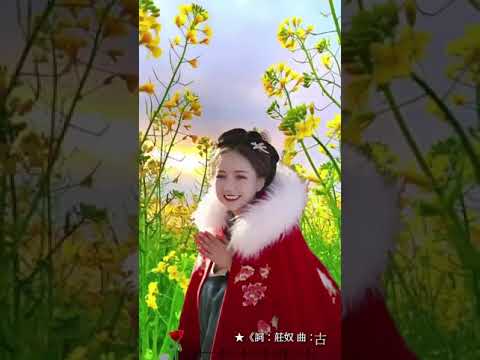酒醒夢已殘 _ 龍飄飄
