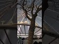 San Francisco….. pier39