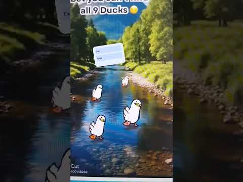 19 maj 2026 by LoveDuck