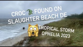 Tropical Storm Ophelia 2023 Slaughter Beach Delaware by Edge to Edge 128 views 7 months ago 9 minutes, 47 seconds