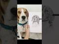 ‼️dog portrait ‼️#youtubeshorts #shortsviral #shorts #portrait #art #artist #sketching #artshorts