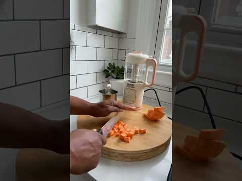 Vevor baby food maker