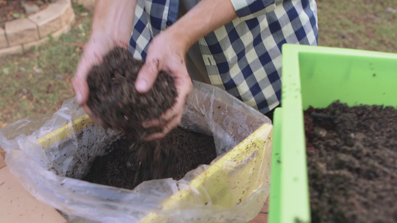 Start your own revolution!