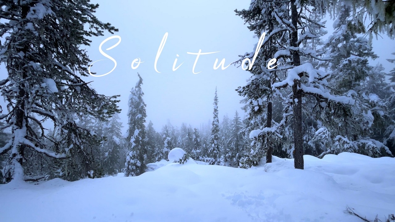 Solitude | The Forest in Winter