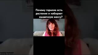Как горилла набирает мышцы 💪