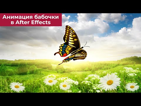 Видео: Анимация бабочки в After Effects | Butterfly animation