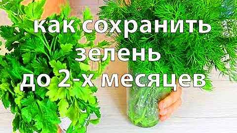 КАК ДОЛГО ХРАНИТЬ ЗЕЛЕНЬ В ХОЛОДИЛЬНИКЕ