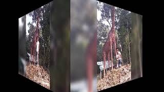 Md.kawsar Video
