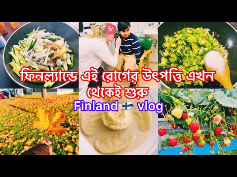 ফিনল্যান্ডে এই রোগের উৎপত্তি এখান থেকেই শুরু