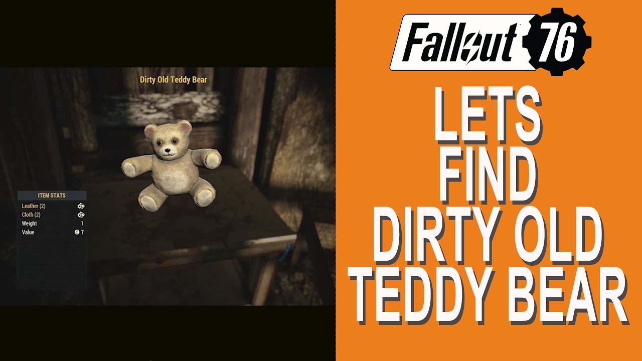 find a teddy bear