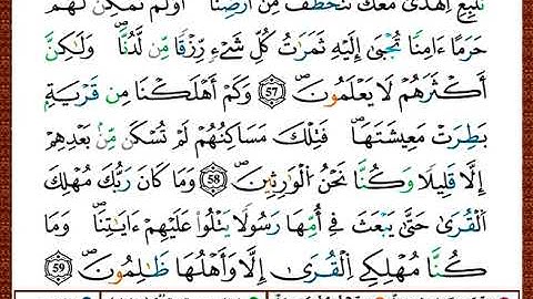 ختمة مصحف التجويد برواية قالون الصفحة رقم 392