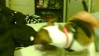 Capture 20110820 6