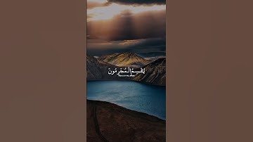 محمد صديق المنشاوي | سورة الروم