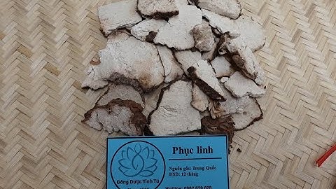 PHỤC LINH : Vị thuốc quý với nhiều công dụng chữa bệnh hay