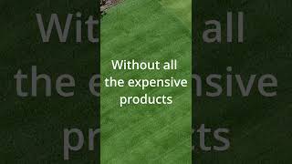 fix your lawn live streat  sundays at 6 am pst #diylawnfix #lawncare