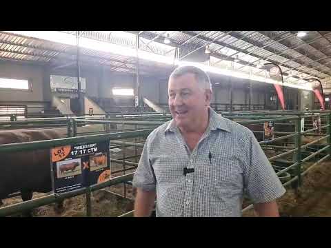 Hoe was die Africa Droughtmaster Genetic Sale 2022