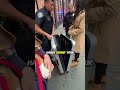 “She Tried to Roll Away With a Dog in Her Suitcase 😳🐶” #animalrescue #shorts