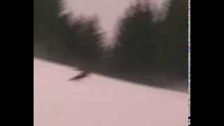 Training Skilifte Feistritzsattel Fisch