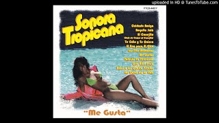 Video thumbnail of "Sonora Tropicana -  Me Gusta"