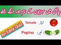 Learn Spanish Vegetable`s Name &amp; Phrases &amp; Short Quiz || For Beginners 🌿