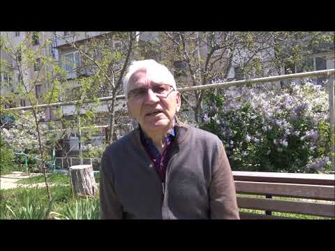 Исторический спор Качинская или Зарайская школа пилотов Торубаров В И