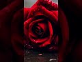 Adhabate Chaligalu Adha To Sapana || Love Quotation Odia || Sad Love Status|| Md Aziz #odialovestory