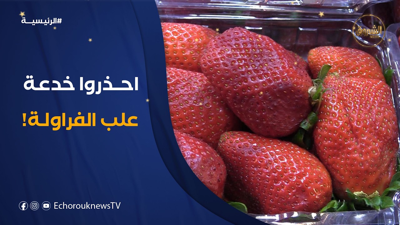 بيع الفراولة في علب بلاستيكية.. تضليل المستهلك بطرق غير قانونية