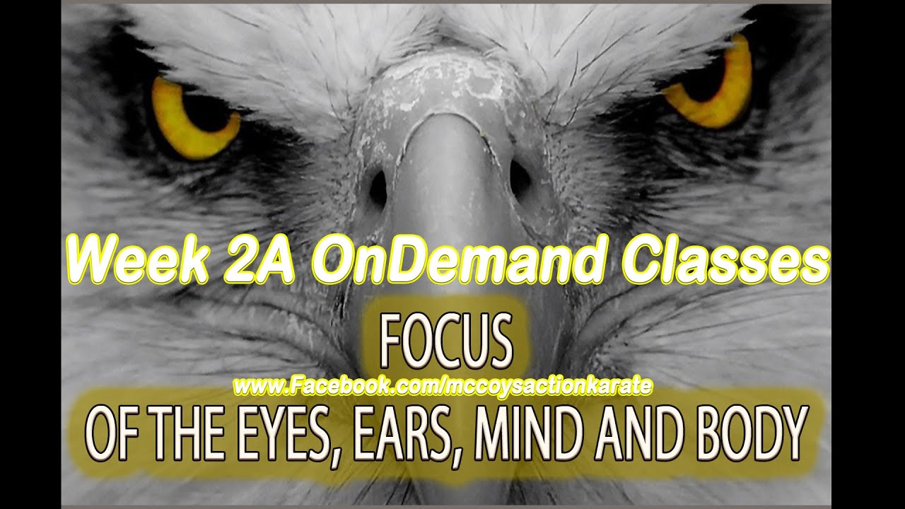 Dragon Beginners  On-Demand Video Stripe Test  Class – 2021 Cycle 1  Month 4 Week 2A