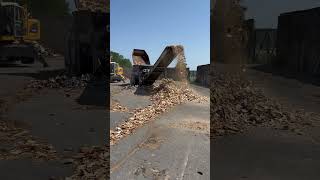 IMG 3036 IMG 3036