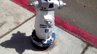 The coolest fire hydrant in San Diego!