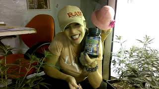 Bienvenido Al Indoor De Talitachef