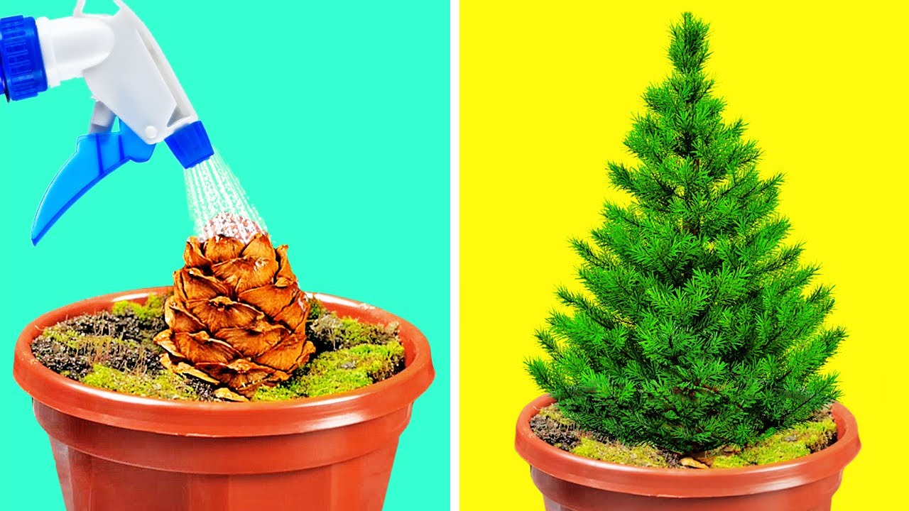 27 ASTUCES UTILES POUR LE JARDINAGE - YouTube
