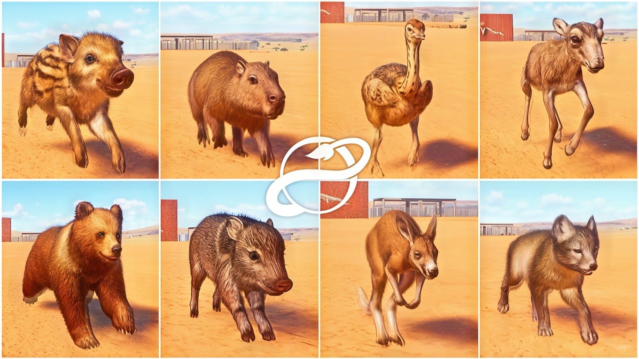 20+ Cute Baby Animals & Birds Race in American Desert | Planet Zoo