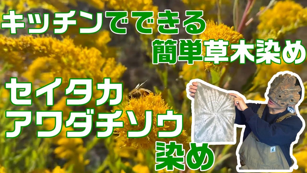 Moss Green Dyeing with Goldenrod
