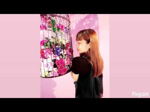 手機鈴聲-《做個好女人》夢然