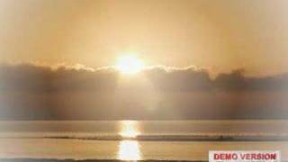 Celebrity Ryan Adams - Desire Wealth