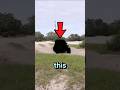 THE INVISIBLE CAR IN REAL LIFE‼️😱